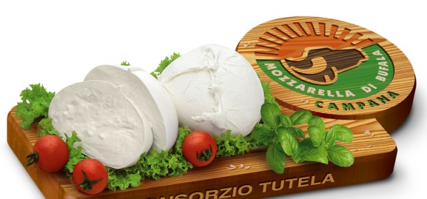 mozzarella di bufala